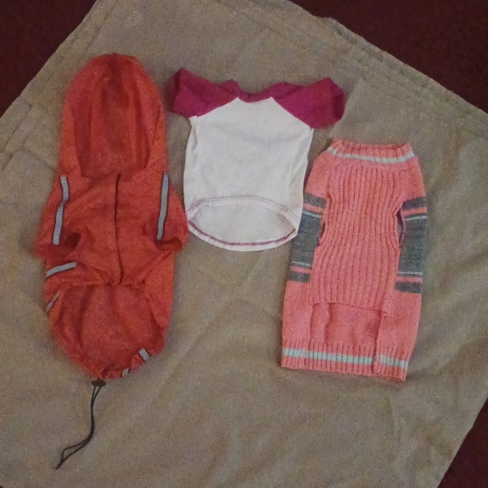 Dog Bundle - Picture 2 of 2